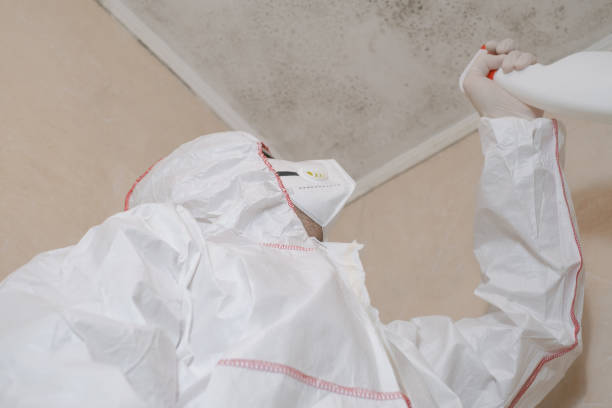 Best Attic Mold Remediation in Walkerton, IN
